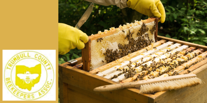 Intro to Beekeeping