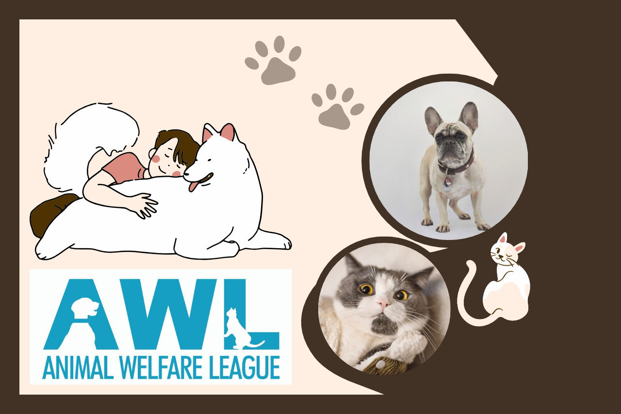 Pet Food and Toy Drive