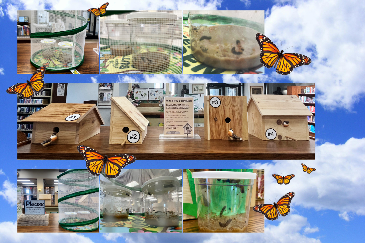 Butterflies & Birdhouses.