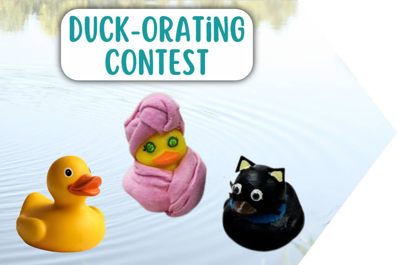 Duck-orating Contest with a three rubber ducks floating in a pond.