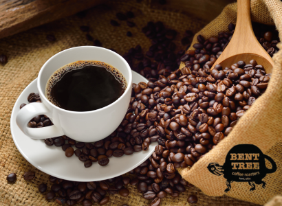 Coffee Tasting with Bent Tree Coffee