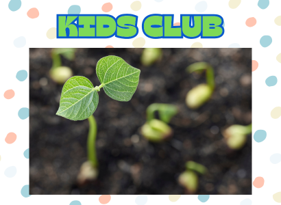 KIDS CLUB
