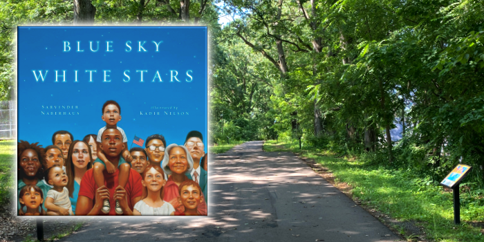 Blue Sky White Stars by Sarvinder Naberhaus