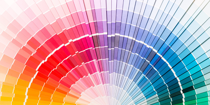 Trivia Time Colors