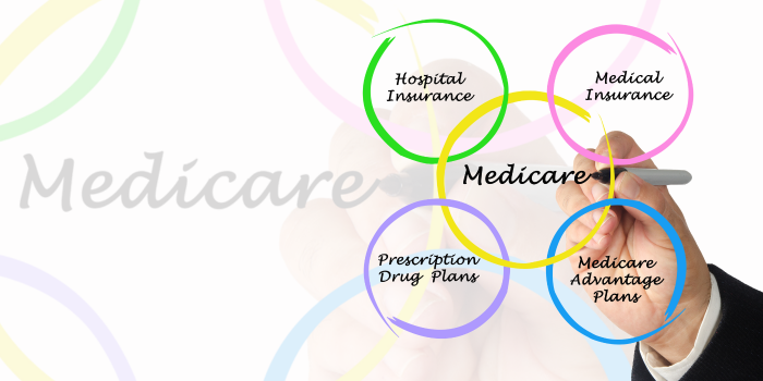 Medicare Basics diagram with choices.