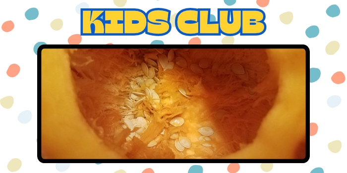 A pumpkin cut in half to reveal the inside with seeds and more.