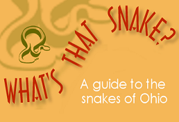 What's That Snake? A guide to the snakes of Ohio.