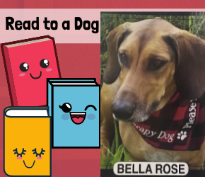Paws Therapy Dogs