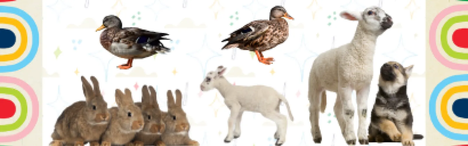 Summer Reading Kickoff: Pony Time Ranch & Petting Zoo
