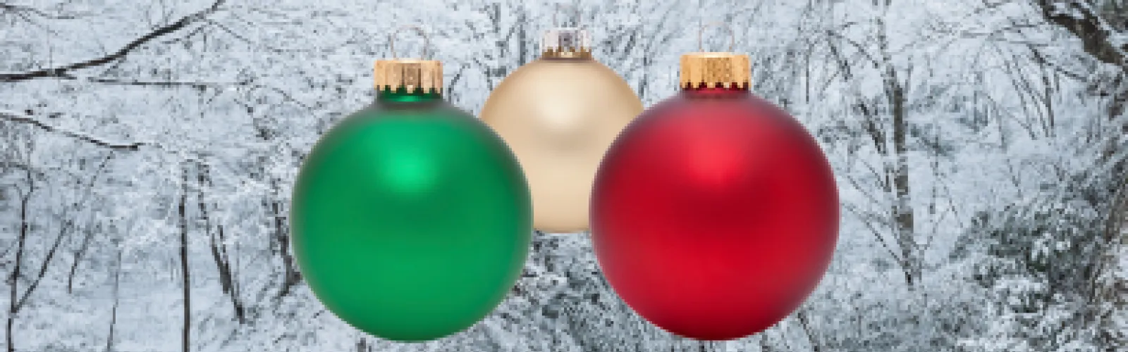 Christmas Holiday Closings