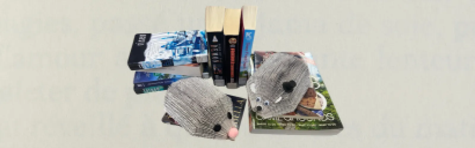 Easy Hedgehog Book Art