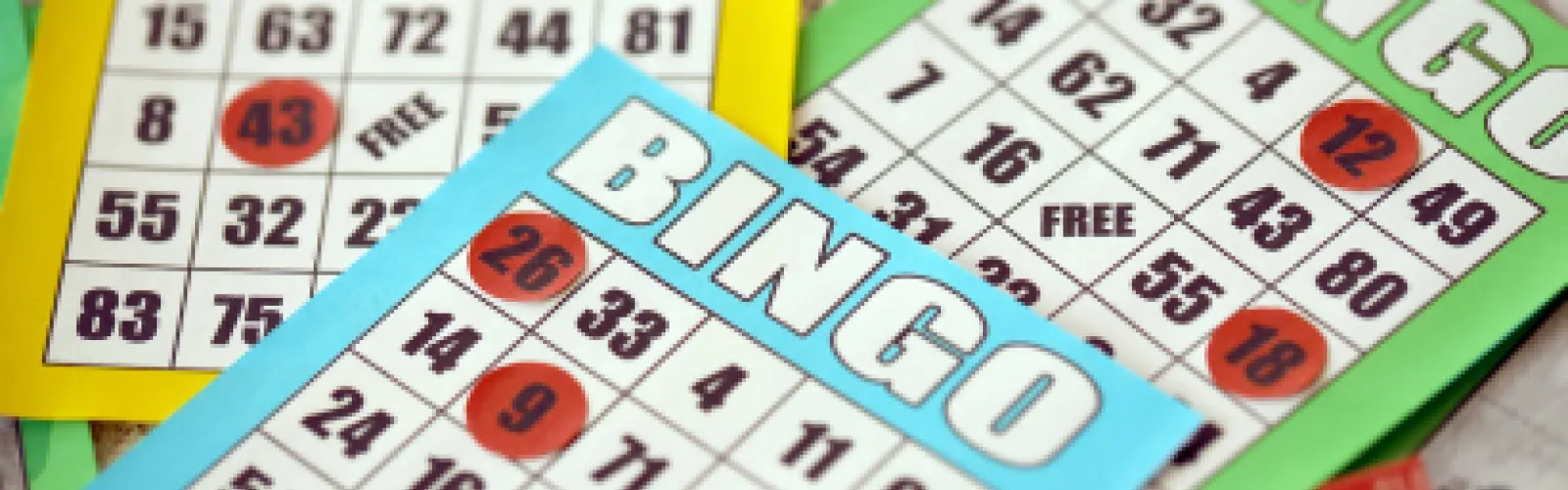 Bingo for Books