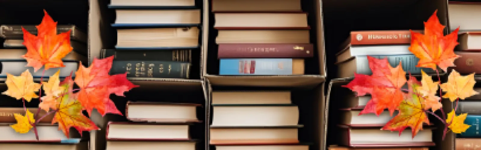 Stacks of books in boxes.
